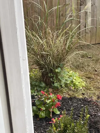 Stunning Studio near airport and major highways!