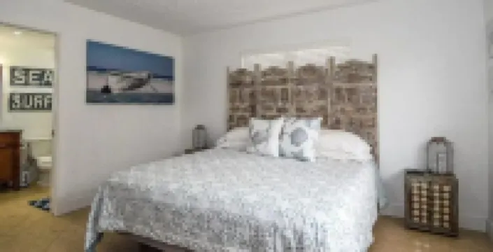 To Paradise Book our website fishing & excursions bigdavechartersandtours.com