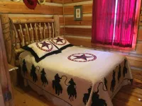 Tlea Farm Mountain Log Cab. 73 Acres of Trails and Horse Paddocks 2 Steams+Lake