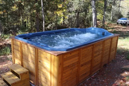 RIVER RENTAL NEW LOG CABIN-POOL SPA ON THE PAINT RIVER-DOCK-CANOES FISH GOLF ORV