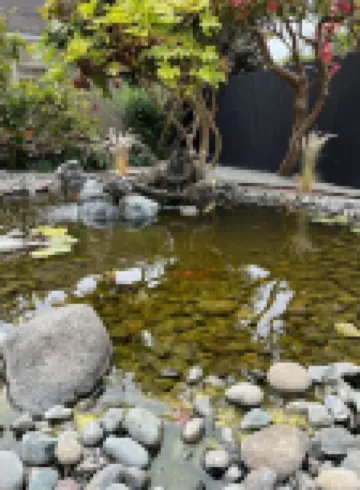 Henderson House and Frog Pond