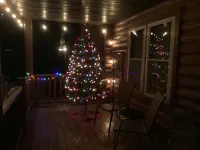 Cozy Cabin-real log cabin stay. Loft bed, woodsy decor, clean & cozy!
