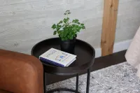 Hot Tub, Couples Hideaway, Private, Coziness, Country, Birds,  Wildlife, Quiet