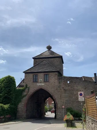 Maison Avec Piscine au Cœur du Village Médiéval de Dambach la Ville