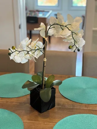 Charming 5 Bedrooms House in Peaceful Kensington with Parking Near DC Отели рядом с достопримечательностью «Beanstalk»