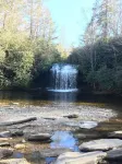 Nicely located, Cozy, PET Friendly cottage in beautiful Lake Toxaway, NC