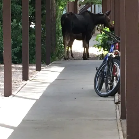 Summer Jackson Hole Retreat | Teton Views Near Grand Teton & Yellowstone