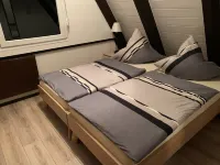 Pure nature - forest vacation in the Tiny House