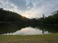 Cabin #1 Bela - Custom Built Aframe - Kid and Pet friendly