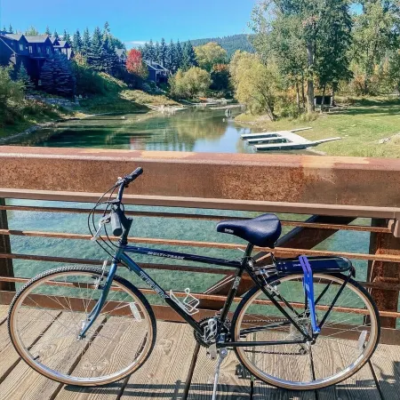 Packer's Roost - Downtown Whitefish