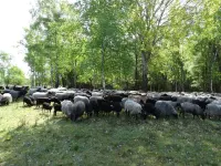 Country house Eichengarten spacious & elegant-6 bedrooms, 7 bathrooms, 12 pers.