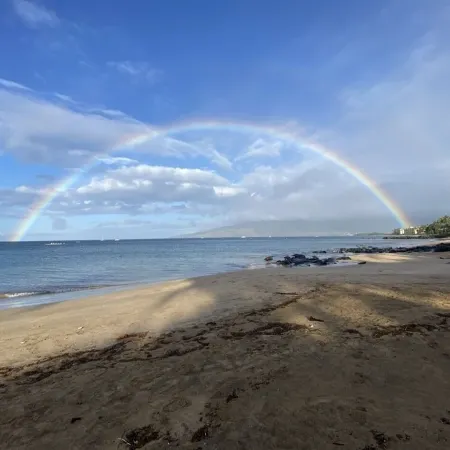 March Deals- Beachfront Condo with Amazing Oceanfront Views.