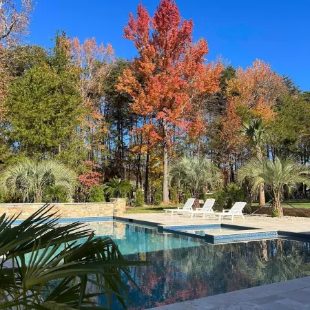 Stunning 4 Bed House Perfect for Nature Lovers Отели в г. Стил Крик