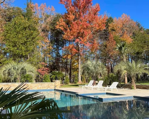 Stunning 4 Bed House Perfect for Nature Lovers Hotels in Steele Creek