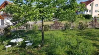 Romantic vacation apartment in renovated half-timbered house from 1706 with courtyard and garden Hotels near Bildhauergarten Peter Lenk