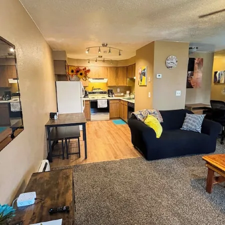 Spacious Open Living Space in This Beautiful Mother-in-Law Basement Apartment