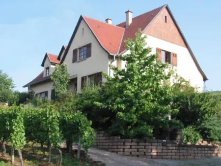 Maison Située Dans le Vignoble, Appartement à L'étage Avec Entrée Indépendante