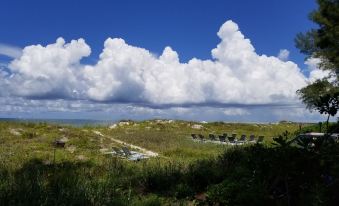 Beachfront Cottages Gulf at Beautiful - 0223112000im3yiih94E1 R 339 206 R5 D