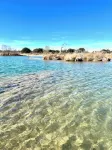 Lawrence's Tree Haus on the Llano River