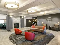 Homewood Suites by Hilton Bel Air Hotels in Harford County
