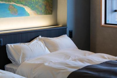 その他 胡蝶蘭の写真