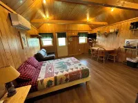 North Maine Cabin 1 • WiFi • Trails • All-Season