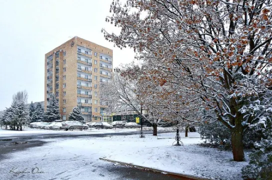 Gostinitsa-A