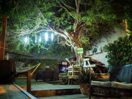 Agua Clara Eco Suites Отели в г. Ораньестад