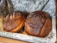 The Tropicana Hotel Hotels in Cape Town