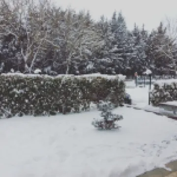 阿菲塔卡梅爾波絲卡洛酒店