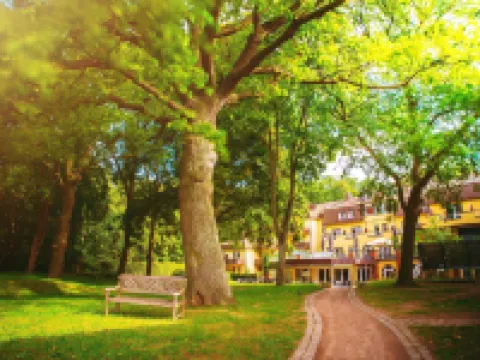 Kurhaus am Inselsee Hotels in Güstrow