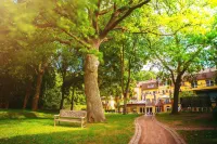 Kurhaus am Inselsee Hotels in der Nähe von Wildpark-MV