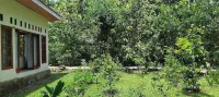 Amini Guest House Hotels near Kali Talang Sudimoro