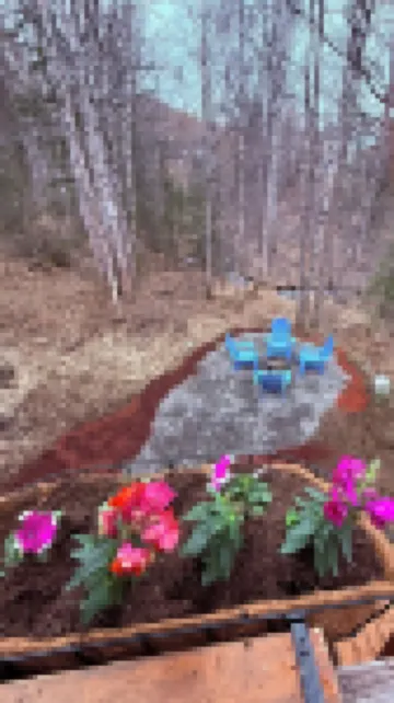 Cozy pet friendly cabin on creek with WiFi near Anchorage