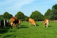 spacious apartment in the countryside, ideal starting point for cycling Hotels in Rosendahl