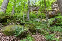 NEW! 30 Acre Secluded Glamping Experience - Private Hiking & Climbing Retreat in Red River Gorge, KY Hotels in Lee County