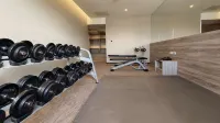 Holiday Inn TAOYUAN AIRPORT by IHG - Gym