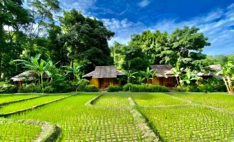 Fern Resort Mae Hong Son