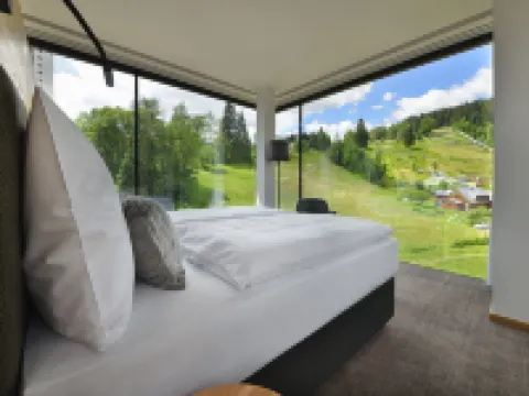 赫拉德大酒店 派克波特斯耐茲庫酒店