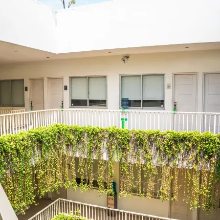 LeGreen Suite Penjernihan