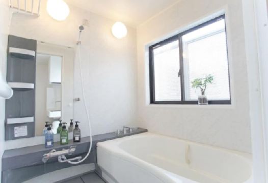 Other Dandelion Photo