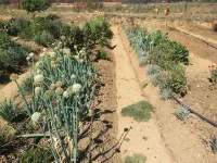 PIck n Pay  Resort Nkhotakota - 3-Star