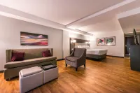 Holiday Inn & Suites BEAUMONT-PLAZA (I-10 & WALDEN) by IHG - 3-Star