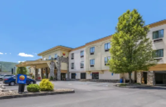 Comfort Inn Williamsport Hotels in Lycoming County