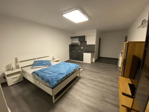 بنزيون نيون