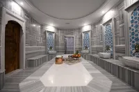 Crowne Plaza ANKARA by IHG - سبا