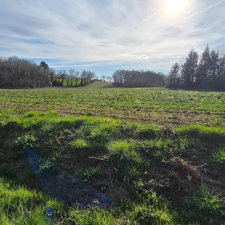 Accesible Countryside Retreat with Private Garden and All Modern Facilities