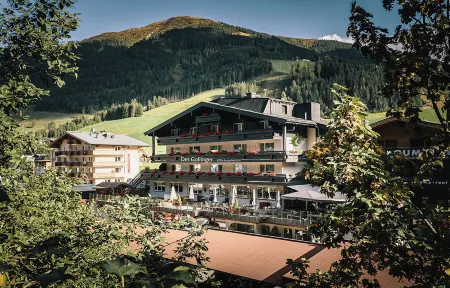 Der Gollinger Отели в г. Hinterglemm