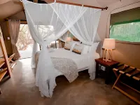 Little Africa Safari Lodge Hotels in Hoedspruit
