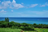 Grand Blue 303